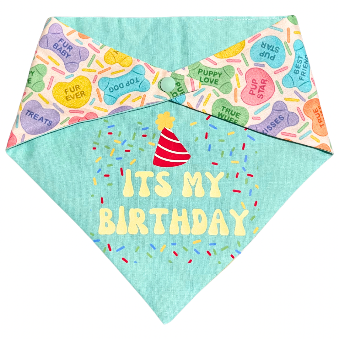 Birthday Snap on Bandana